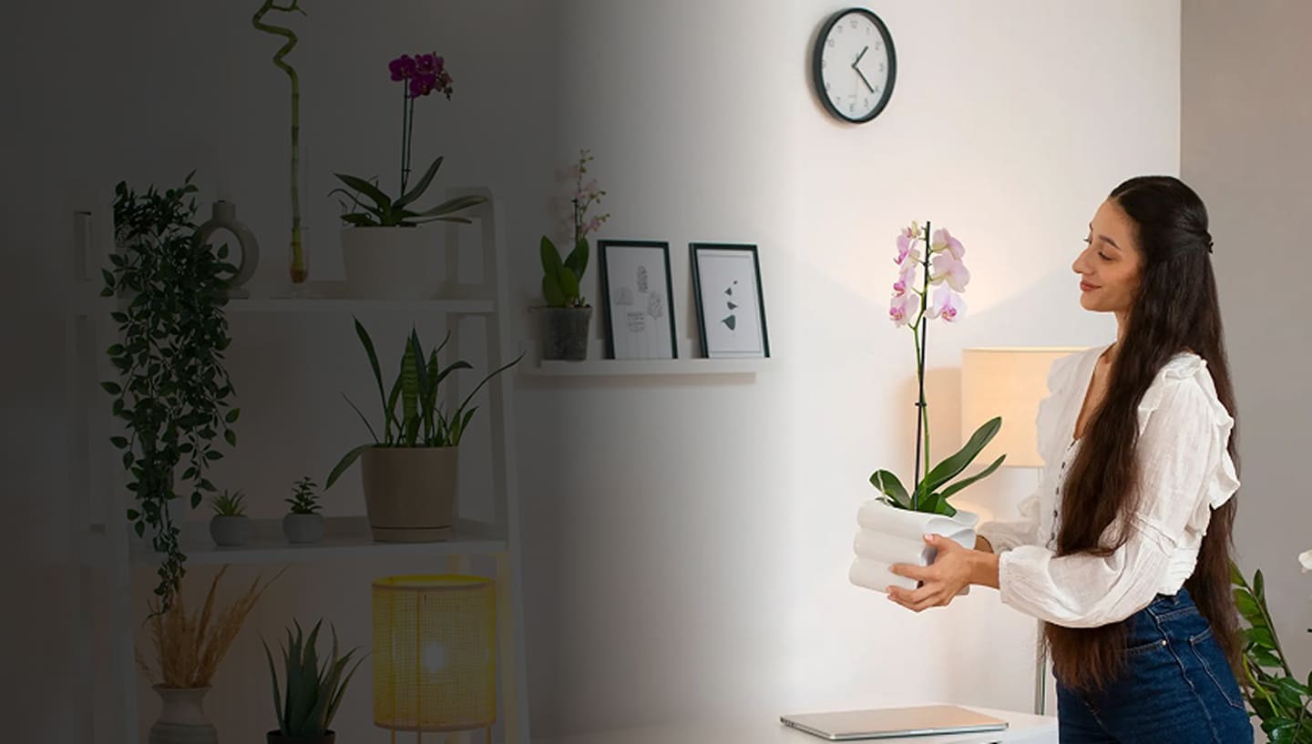 Indo Delta Sourcing Boutique Buying Agency